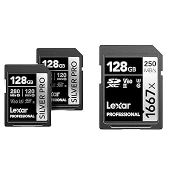 Amazon.com: Lexar 128GB 2-Pack Professional Silver PRO SDXC